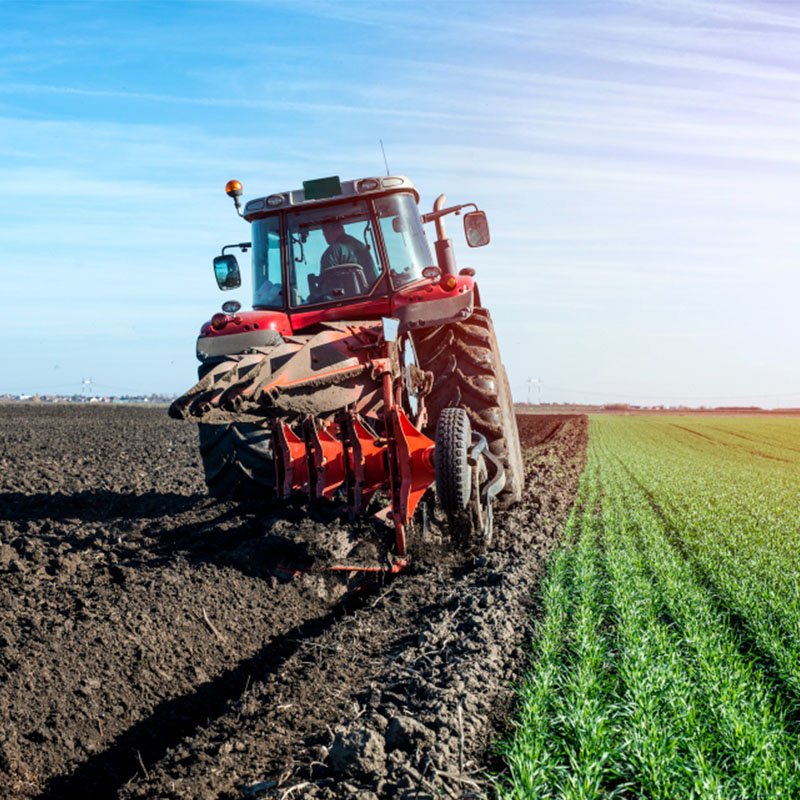 Illustration de Jaguar Transport